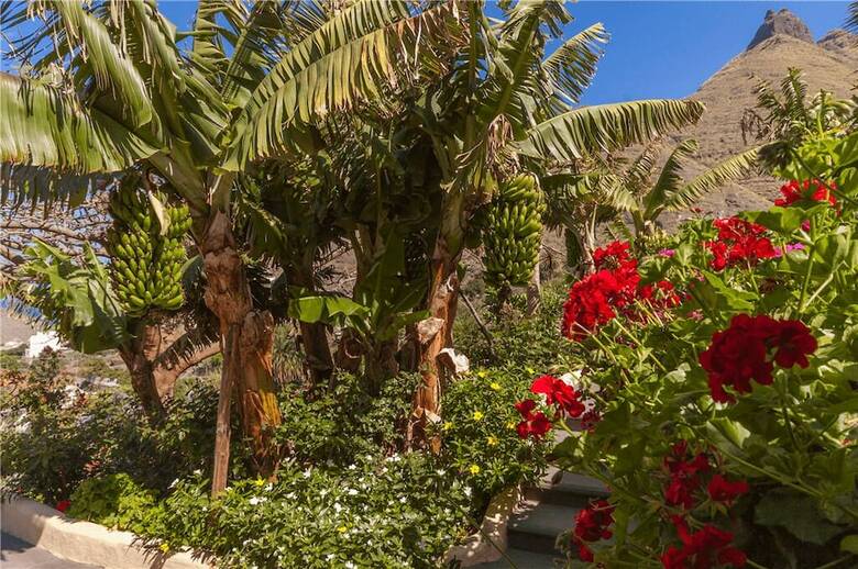 Casa Rural Con Piscina Compartida En Agaete II