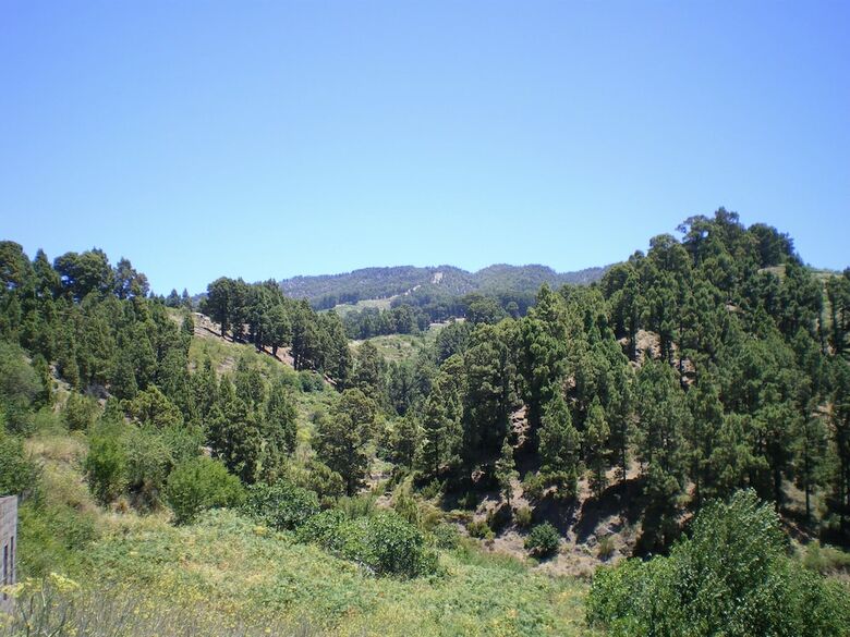 Casa Rural El Colmenero By Isla Bonita