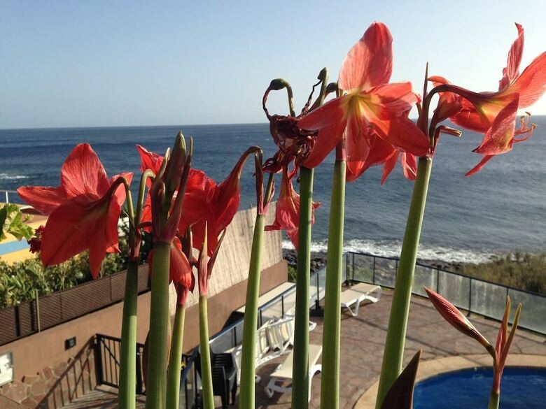 Apartamentos Chijer� Faro Del Ingl�s