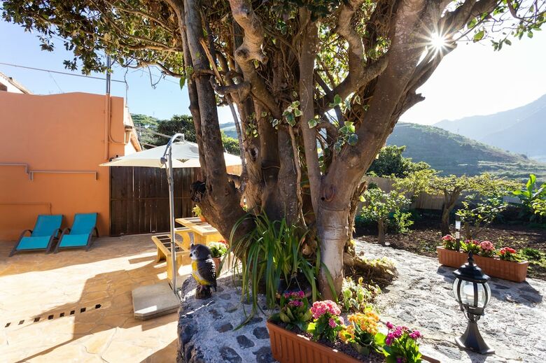 Homelike Rustic House Orchard And Wifi