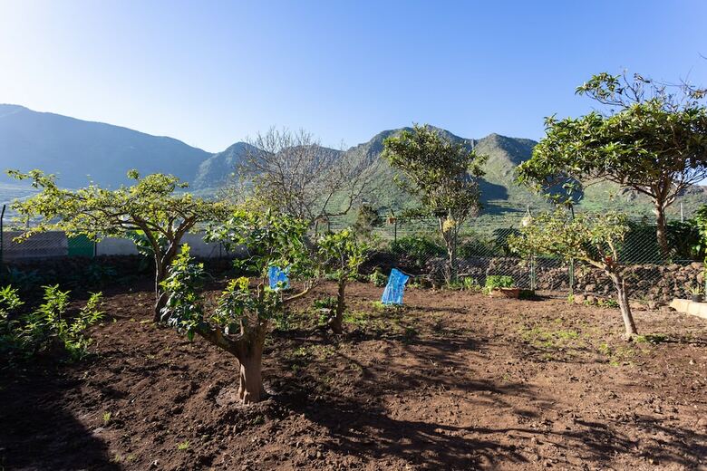 Homelike Rustic House Orchard And Wifi