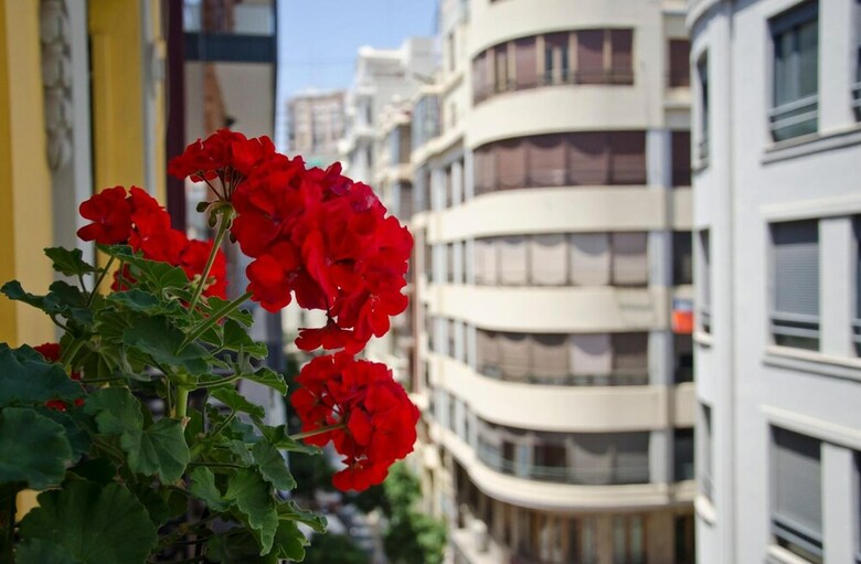 Pension Jero Rooms