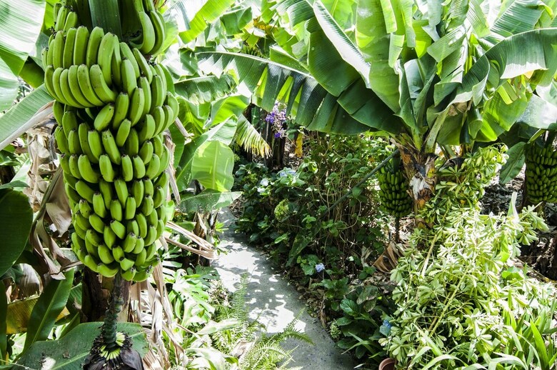 Hotel Finca Arminda