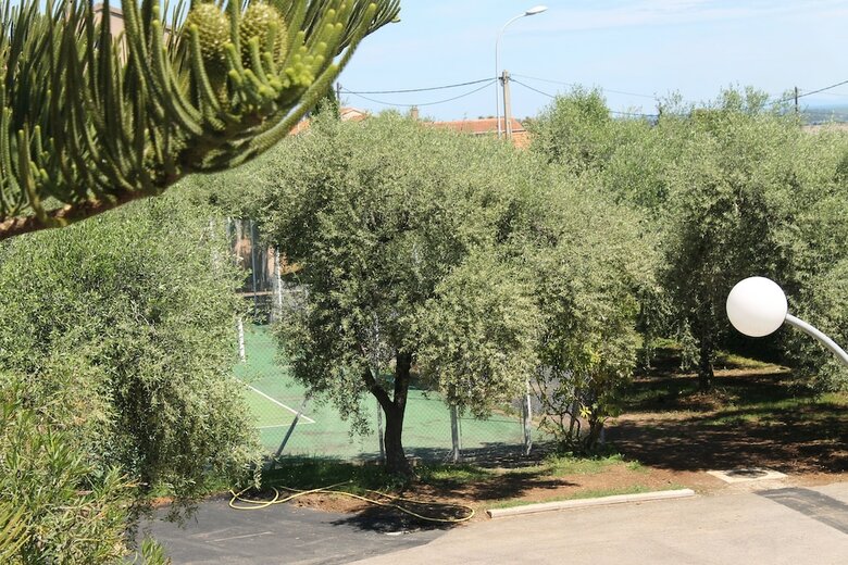 Chambres D'h�tes Le Clos Des Oliviers