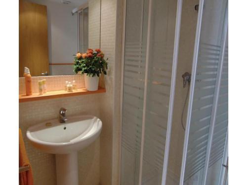 Apartment C.ciutat De Palol