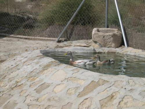 Apartamento Casas Rurales Victoria