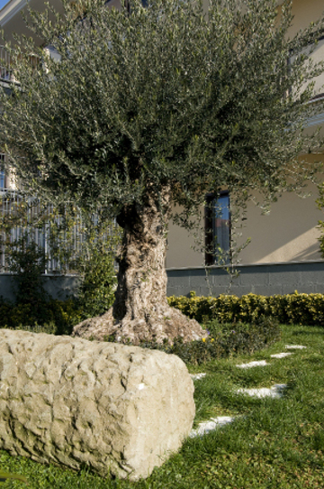 Hotel Excel Roma Ciampino