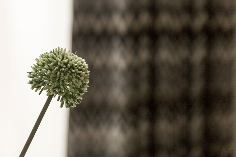 Apartamentos The Saint Stephen S Gardens Mansion VII