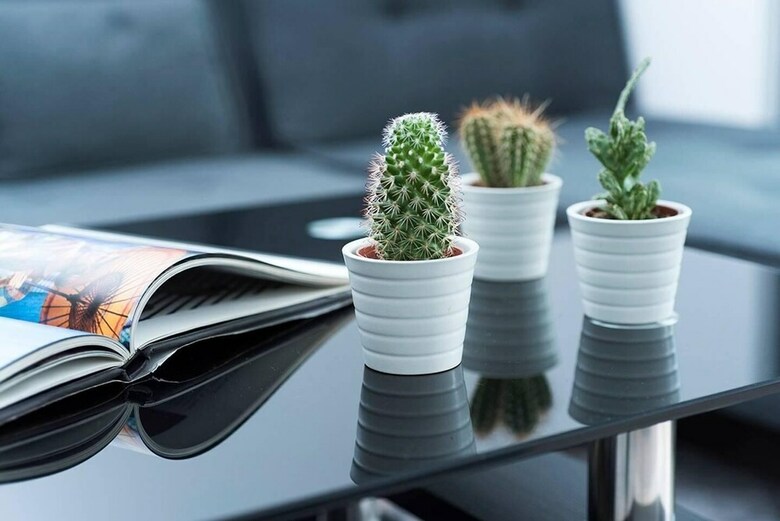 Stunning Contemporary 2br Apartment!