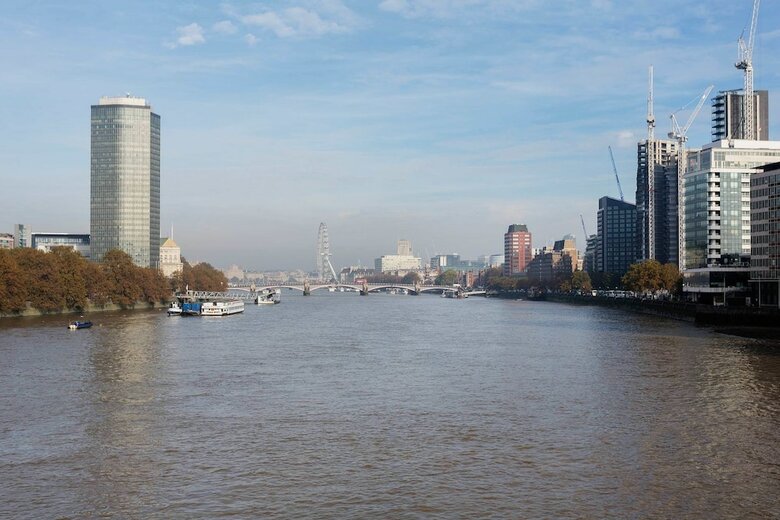 Apartamentos Veeve - Panoramic Pimlico