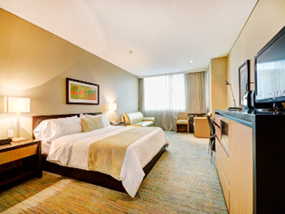 Hotel San Fernando Plaza