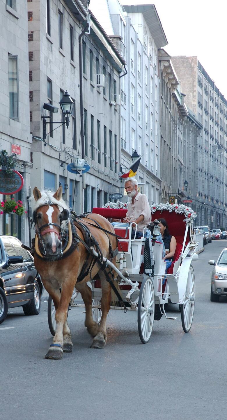 Gouverneur Hotel Montreal