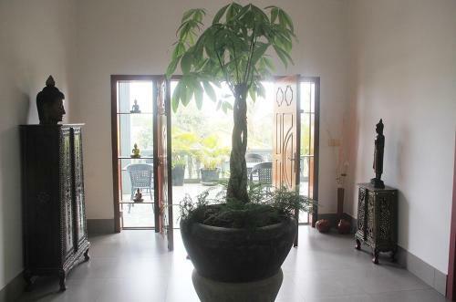 Hotel Manhattan Siem Reap Villa