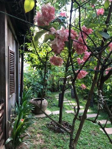 Hotel Angkor Rural Boutique