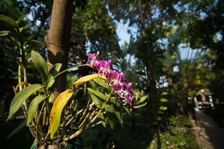 Hotel Sonalong Boutique Village & Resort