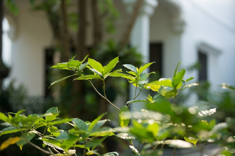 Hotel Sonalong Boutique Village & Resort