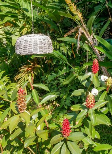 Hostal Bloom Garden Guesthouse