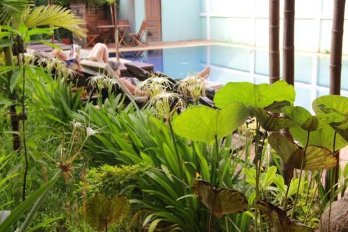 Bed & Breakfast Jasmine Family Hostel