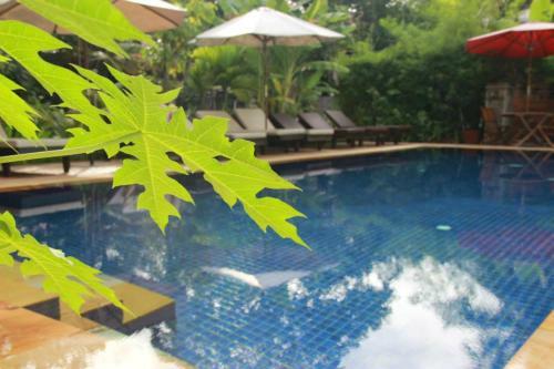 Bed & Breakfast Jasmine Family Hostel