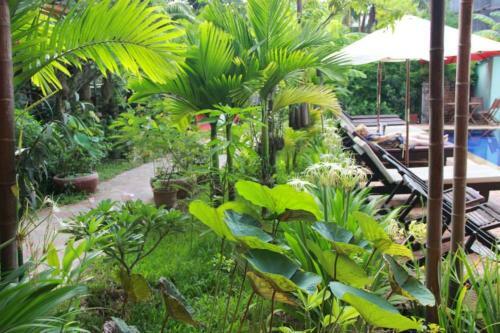 Bed & Breakfast Jasmine Family Hostel