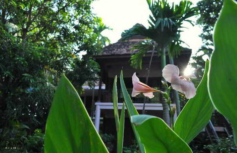 Hotel The Rivergarden Siem Reap