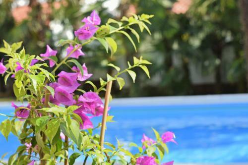 Apartments Vila Marinela