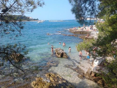 Apartments Villa Mihaela