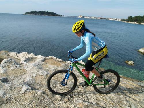 Apartments Villa Mihaela