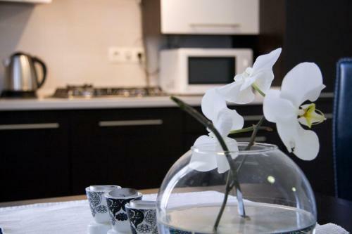 Apartment In The Centre Of Lviv