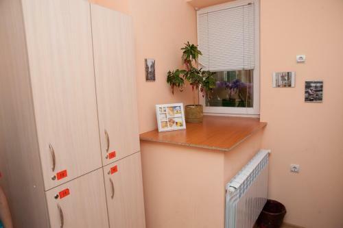 Cherry Hostel