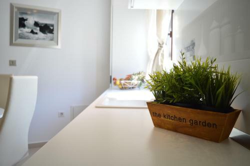 Apartments Villa Alba