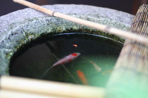 Hostal Guesthouse Kyoto Compass