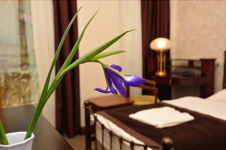 Hotel Villa Mtiebi