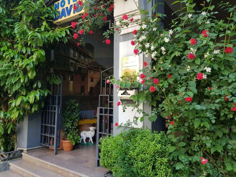 Hotel David Sultan