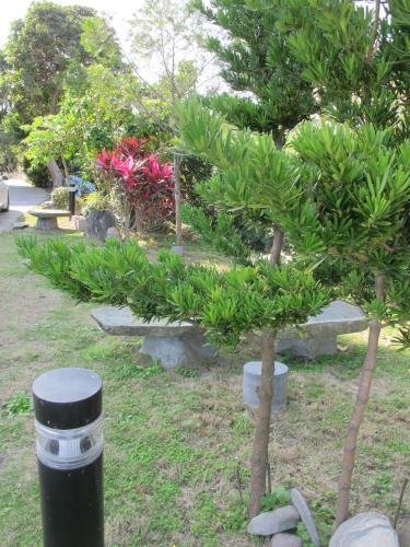 Bed & Breakfast Shangrila Homestay