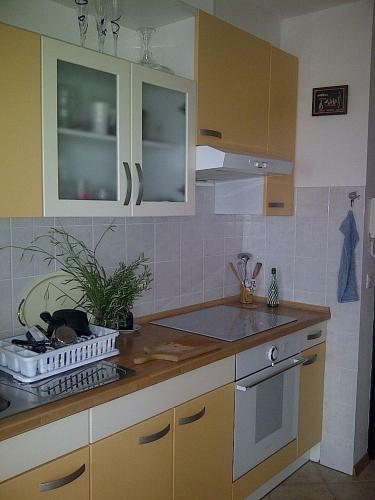 Sea View Apartment Next To A Meadow