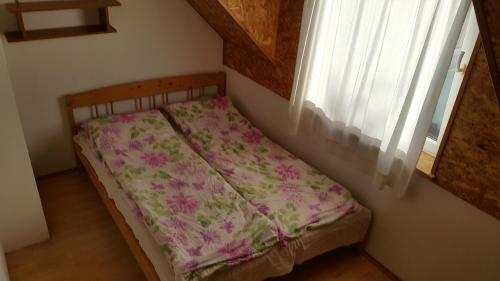 Bed & Breakfast Willa D?bki