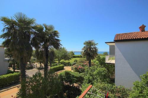 Apartamento Runko