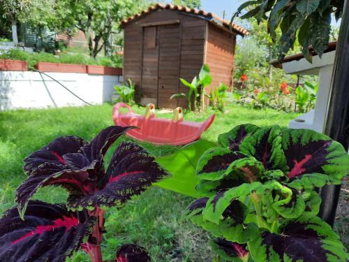 Agroturismo Theodoras House