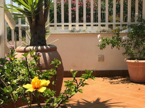 Delianick Holiday Home
