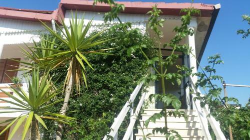 Delianick Holiday Home