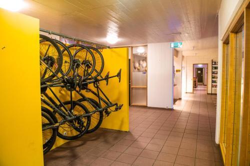 Reykjav�k City Hostel