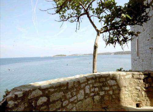 Apartment Giulio - 10mt To The Beach