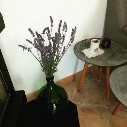 Villa Casa Valeluna Rovinj