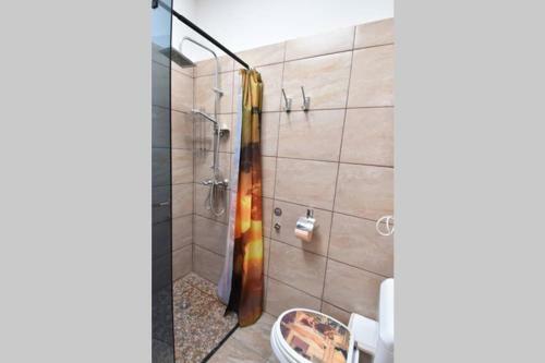 Apartman Marovi?