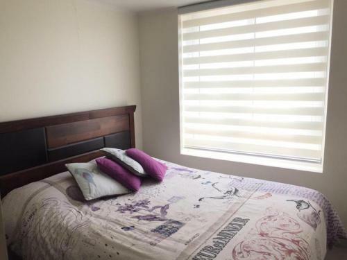 Apartamento Laguna Del Mar