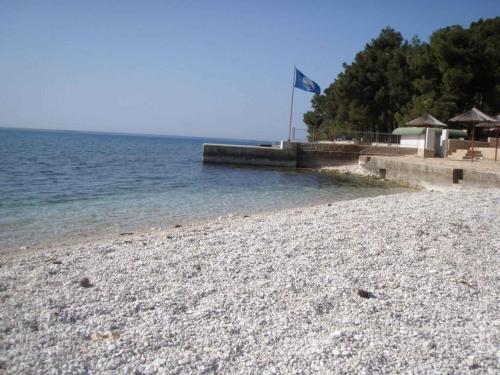Apartments In Porec/istrien 9901