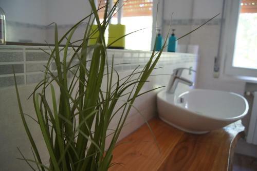 Apartamento Guest House For You
