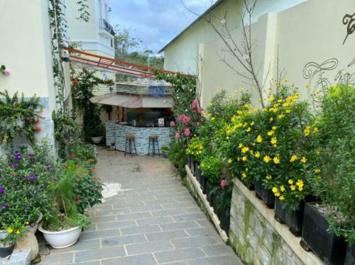 Hostal Ph? Hoa Villa Boutique & Homestay