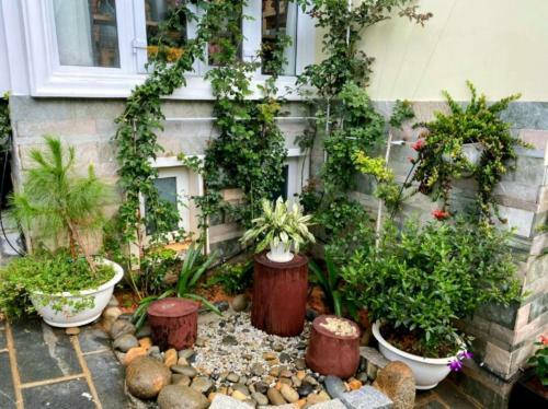 Hostal Ph? Hoa Villa Boutique & Homestay